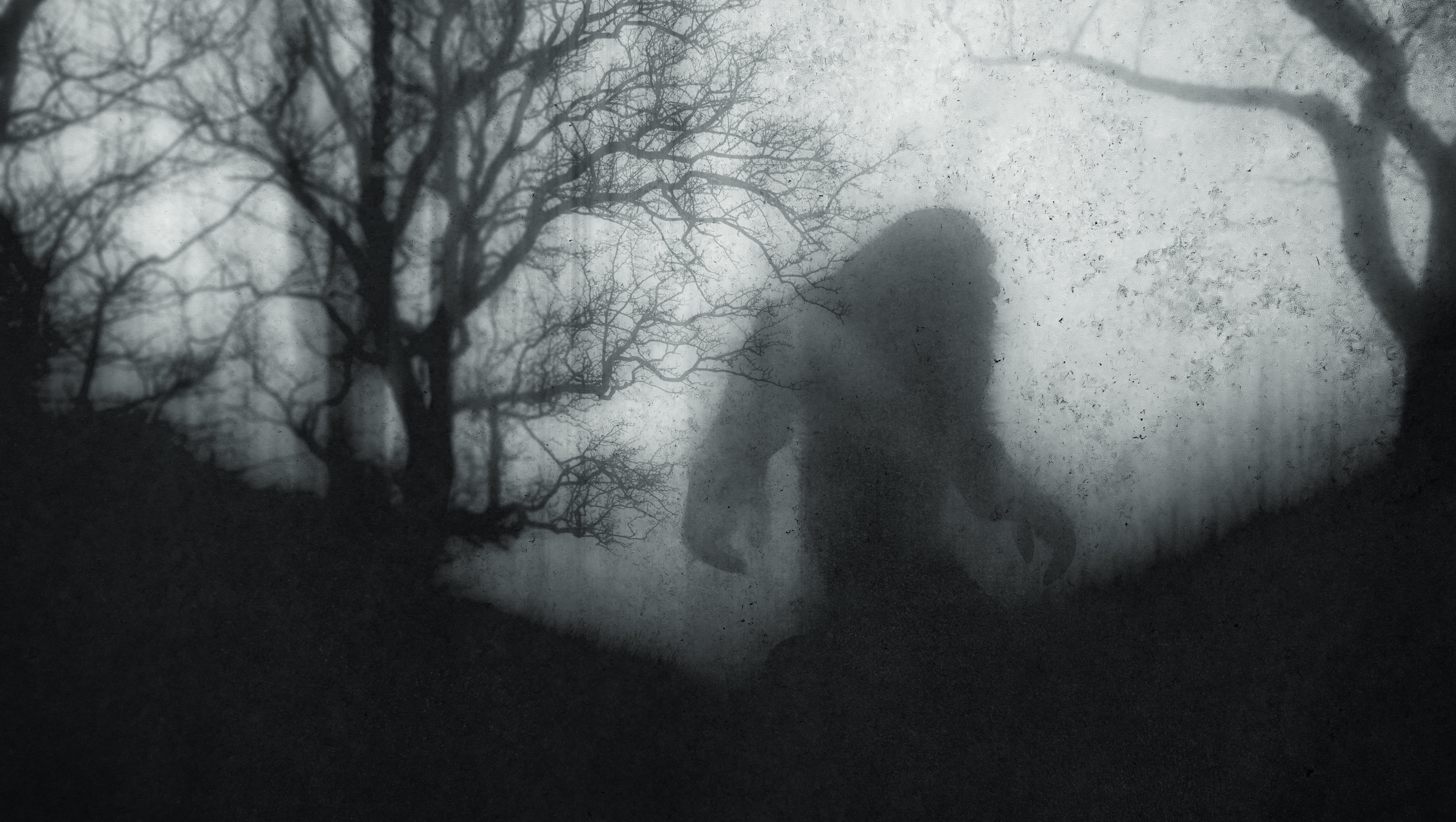 Investigating Bigfoot / Open Lines