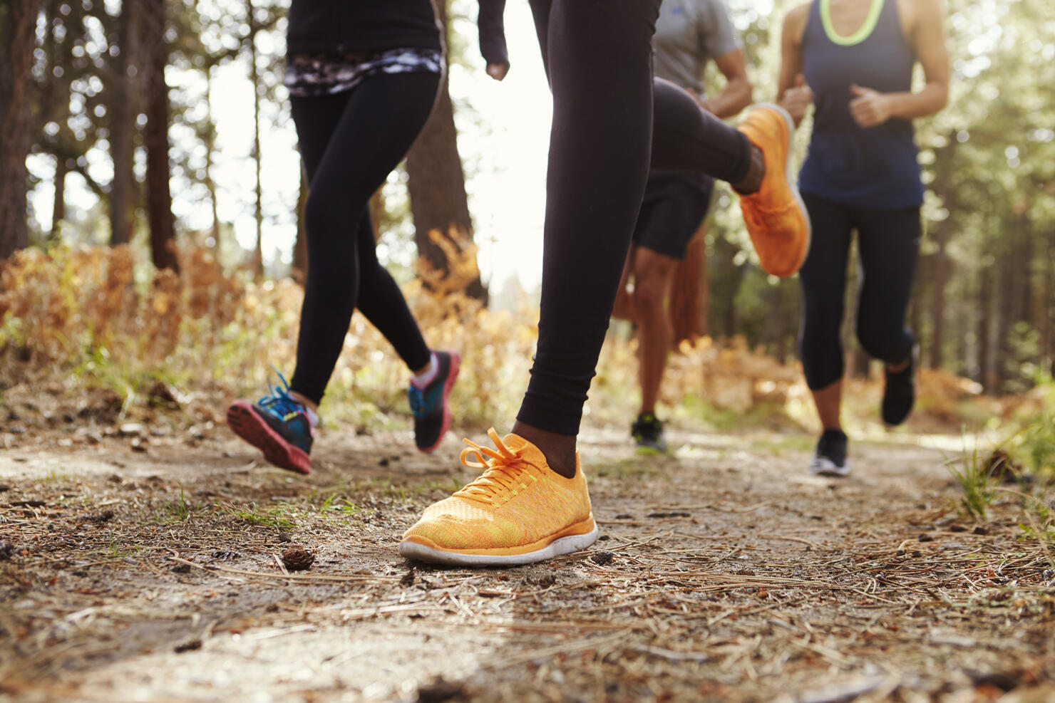 Legs and shoes of four young adults running in forest