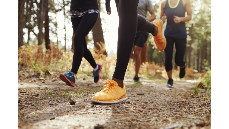 Legs and shoes of four young adults running in forest