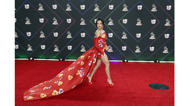22nd Annual Latin GRAMMY Awards - Arrivals