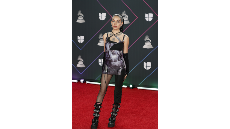 22nd Annual Latin GRAMMY Awards - Arrivals