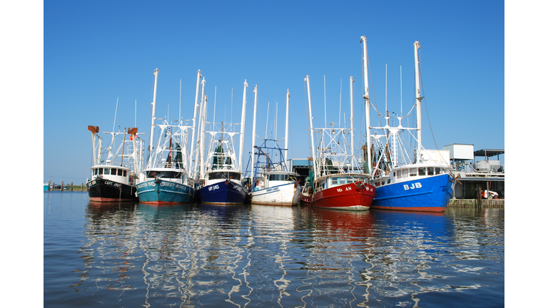 Idled shrimp boats sit in the dock of Ve