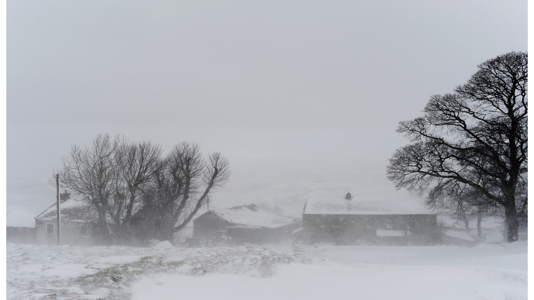 Farmers Struggle With Lambing Season During The Coldest March For 50 Years