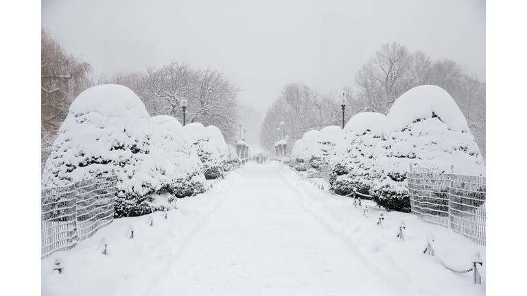 Major Winter Storm Blankets Northeast With Snow