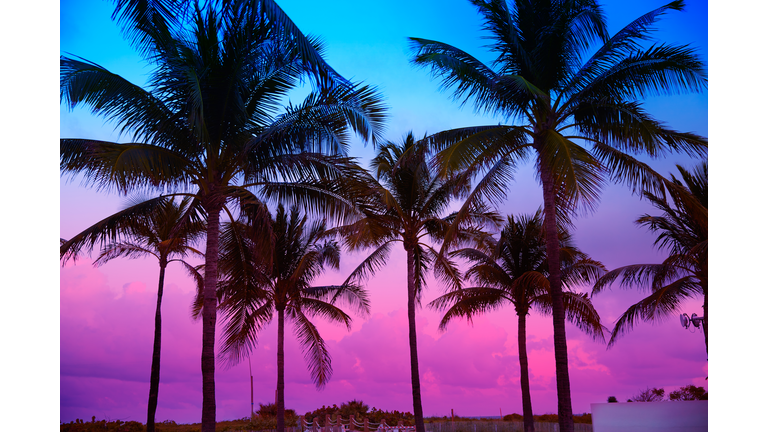 Miami Beach South Beach sunset palm trees Florida