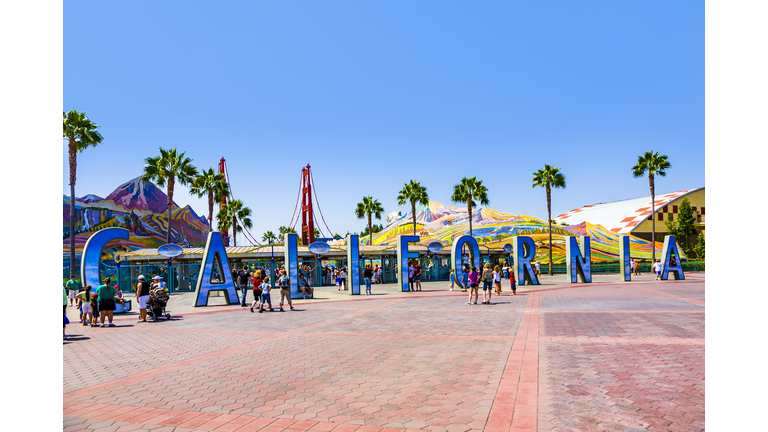 people visit disneyland and walk over commemorative bricks with names in terracotta