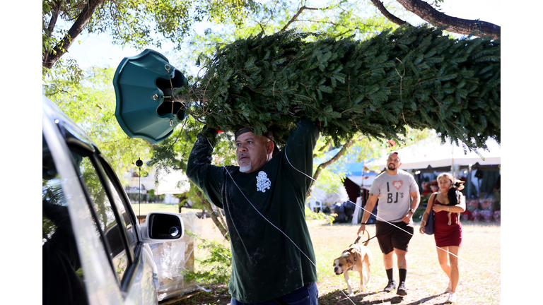 Real Christmas Trees And Artificial Trees In Shorter Supply This Year