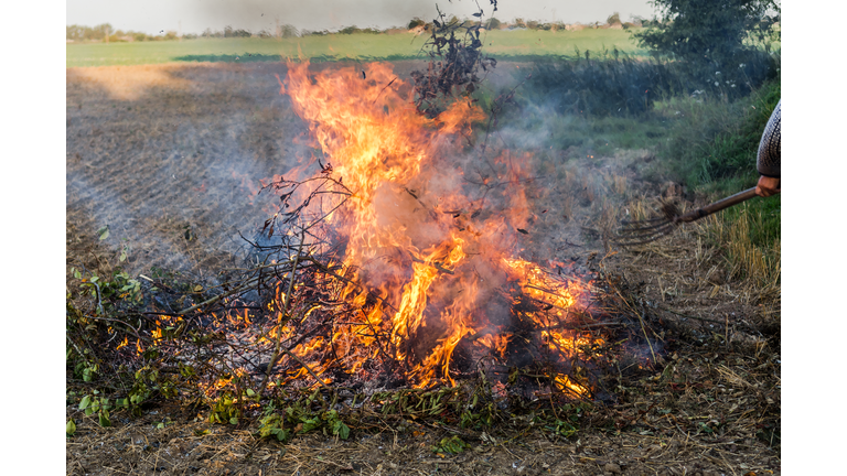 Farmer burns green wastes in bonfire