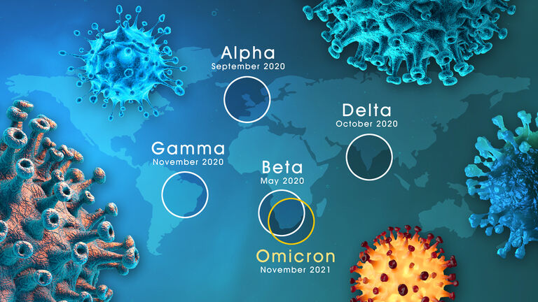 Coronavirus Variant Omicron B.1.1.529