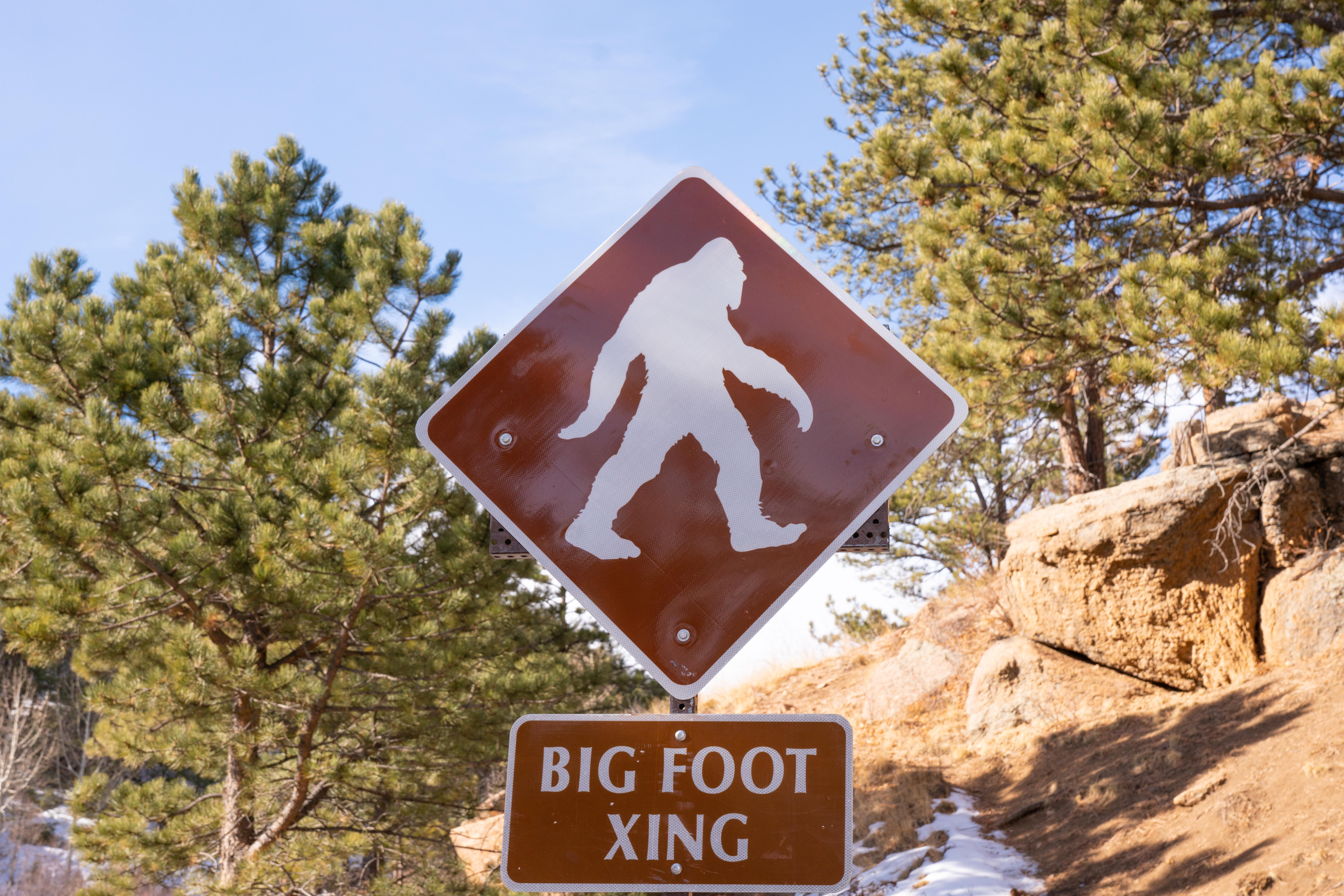 Bigfoot: The Life and Times of a Legend, Buhs