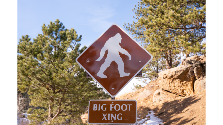 Big Foot Crossing Sign