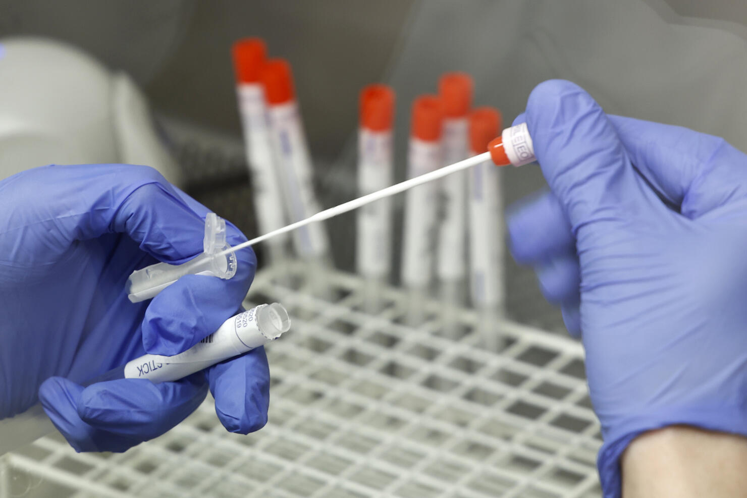 B117 Coronavirus Variant Dominates In Flensburg