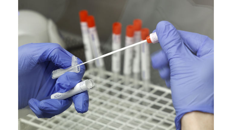 B117 Coronavirus Variant Dominates In Flensburg