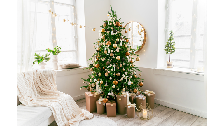 Domestic living room decorated with Christmas fir tree and holiday decor