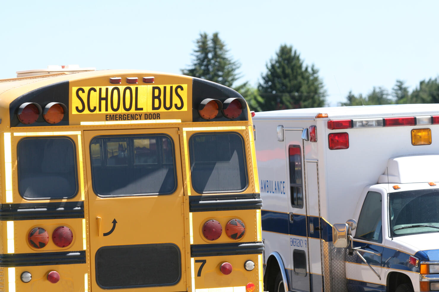 School Bus and Ambulance