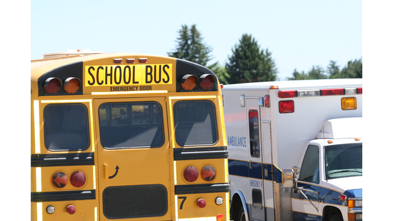School Bus and Ambulance