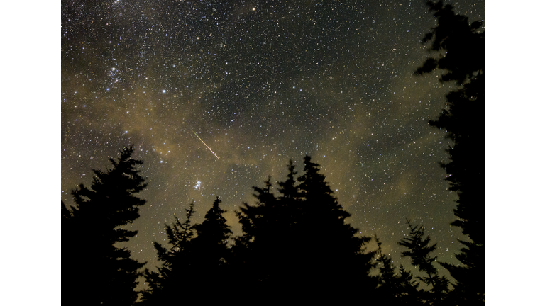 Perseid Meteor Shower