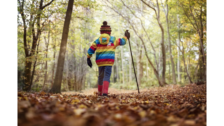 Walking in autumn and winter