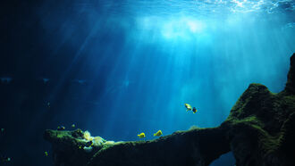 Underground & Underwater Bases