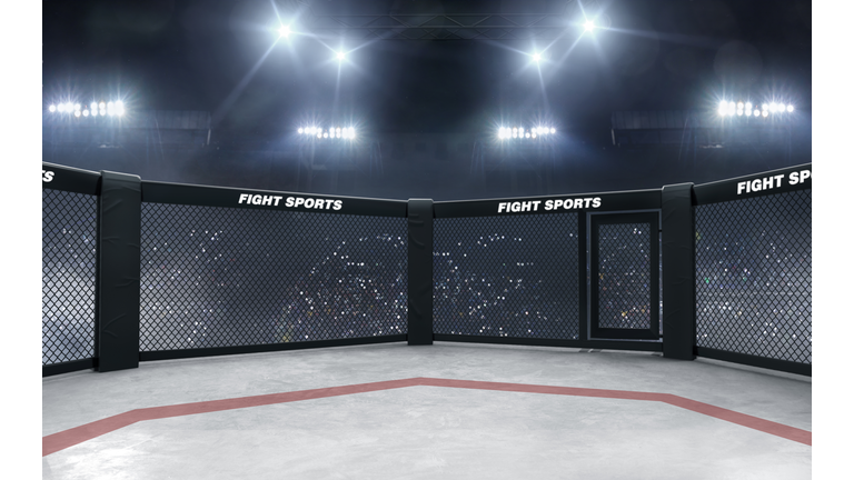 3D render MMA arena. MMA octagon cages.