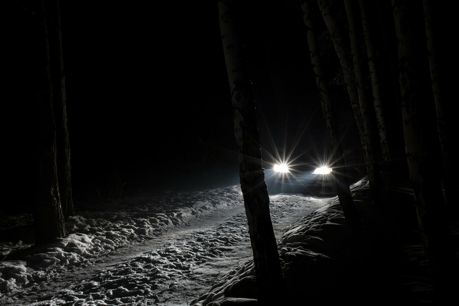 sports car with high beam on in a winter pine forest at night, front and background blurred with bokeh effect
