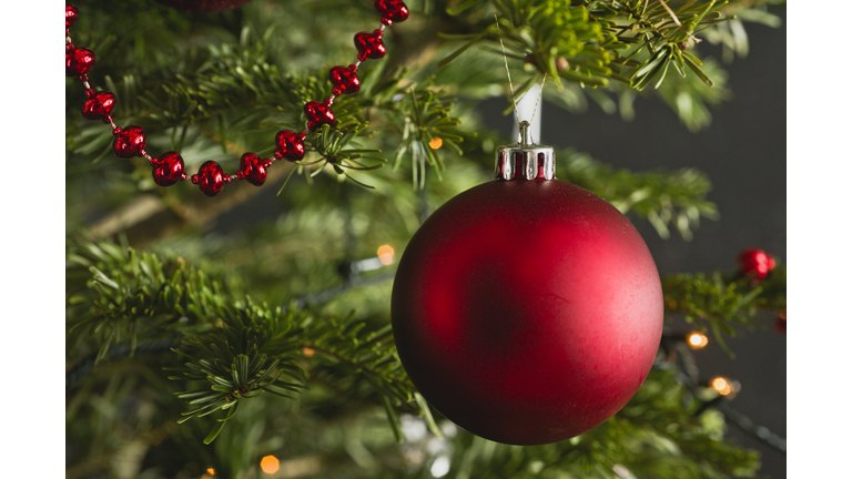 Christmas ornament on tree, close-up