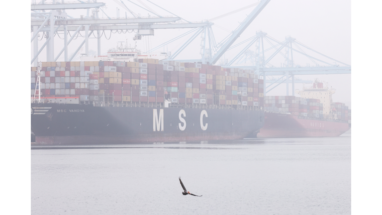 Cargo Backlogs Continue Easing At California Ports