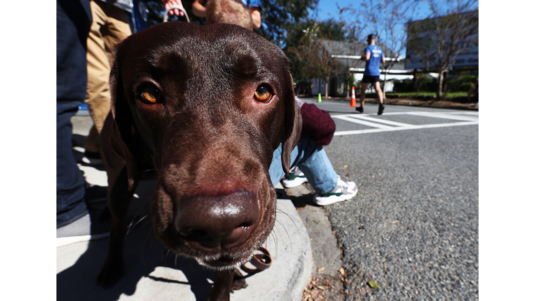 Humana Rock 'n' Roll Savannah Marathon & 1/2 Marathon - Day 1