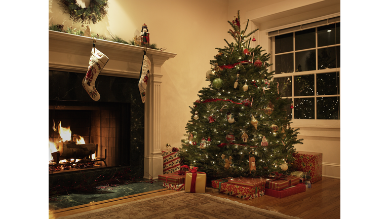 Christmas tree in living room