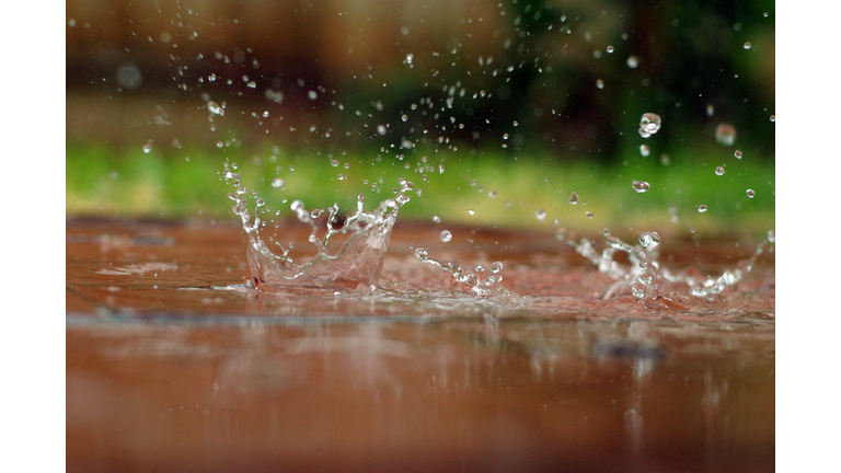 Raindrops falling on a puddle