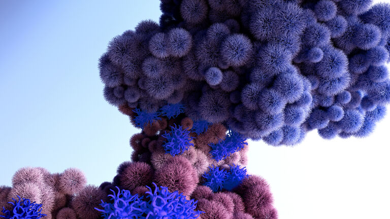 Mutations on the spike protein coronavirus uses to attach to human cells. Omicron variant spike protein bound with the human ACE2 receptor.