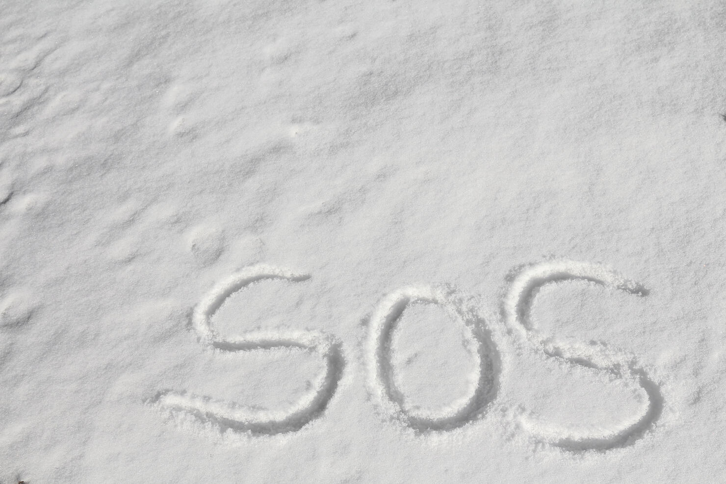 SOS in smooth snow with copy space