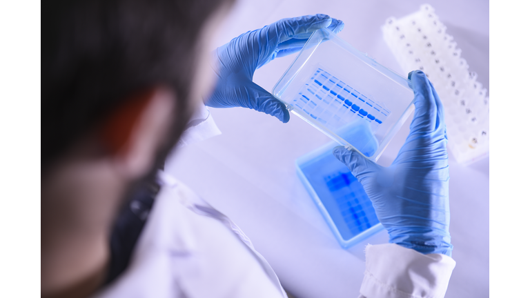 The Technological Vaccine Center of the Federal University of Minas Gerais is Testing a Vaccine against the Coronavirus (COVID - 19) and also Testing Diagnosis Kits