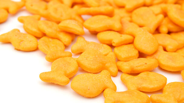 Goldfish x Dunkin’ Pumpkin Spice Grahams Are Returning