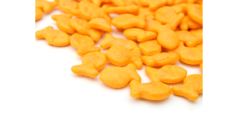A scaterring of yellow goldfish crackers.