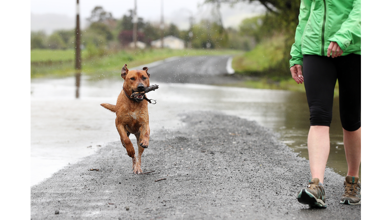 Heavy Rain Causes Flooding And Power Cuts In North Auckland