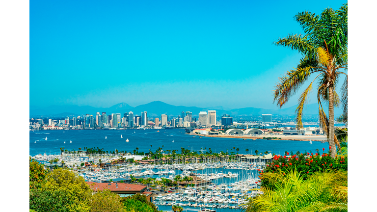 San Diego skyline and bay from one of the landscaped hillsides.