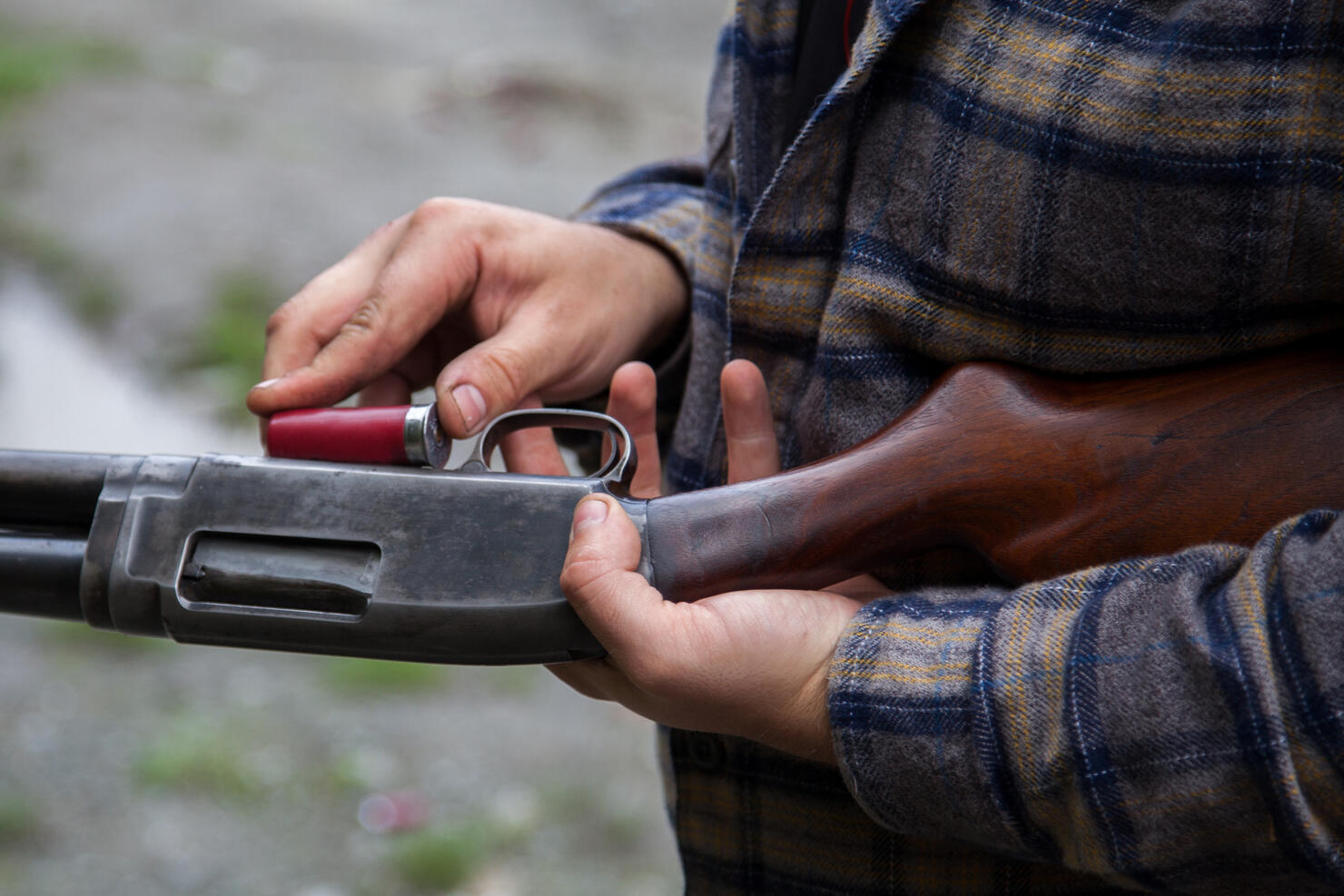 Close up of man loading a red shotgun shell into the magazine of his gun