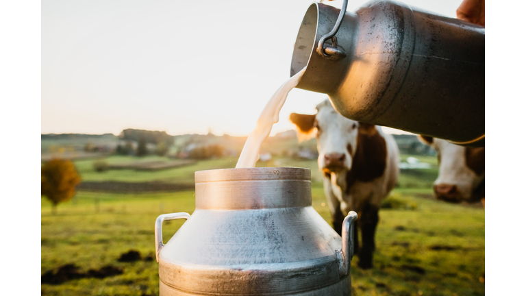 Raw milk being poured into container