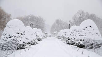 Cape And Islands Prepare For Major Storm