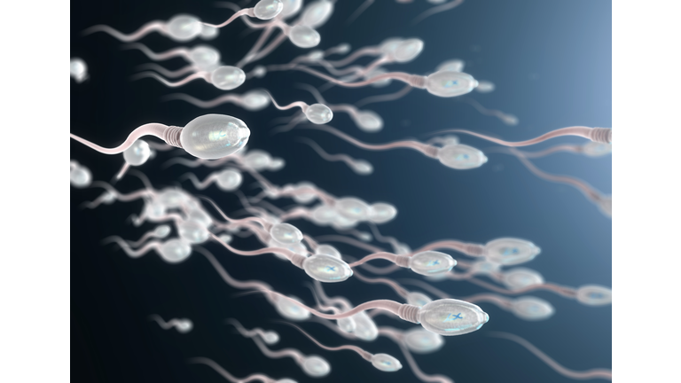 3d illustration of sperm cells moving to the right