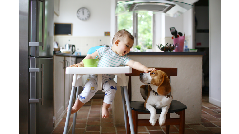 A 1 year old boy petting his dog in the kitchen