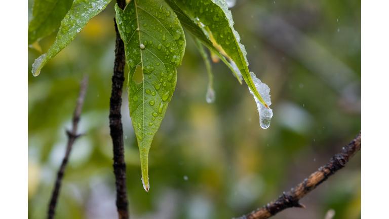 US-WEATHER-COLORADO