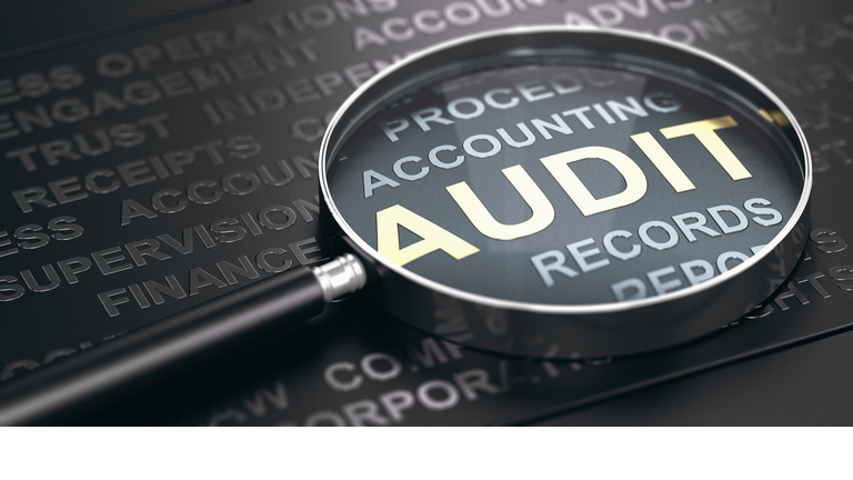 Financial Auditing Concept.