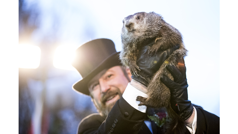 "Punxsutawney Phil" Makes Annual Winter Prediction On Groundhog Day