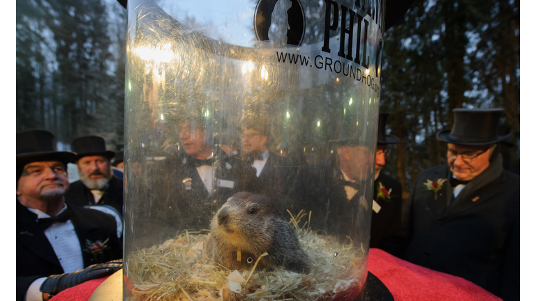 "Punxsutawney Phil"  Looks For His Shadow At Annual Groundhog Day Ritual In PA