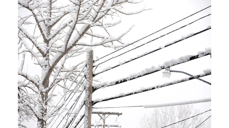 Powerline covered in ice and snow