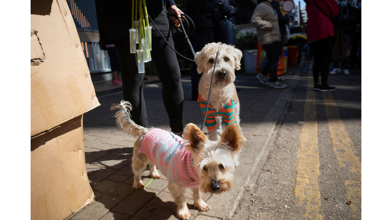 HONG KONG-CHINA-HEALTH-VIRUS-ANIMAL-TRAVEL