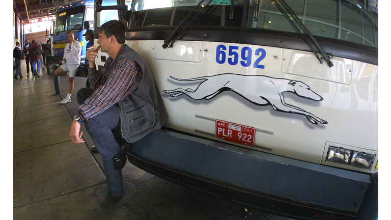 Greyhound temporarily halts service