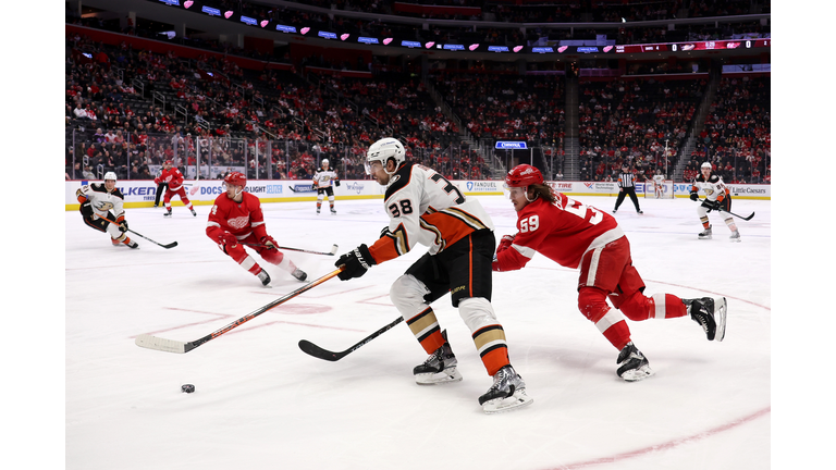 Anaheim Ducks v Detroit Red Wings